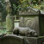 highgate-cemetery-4