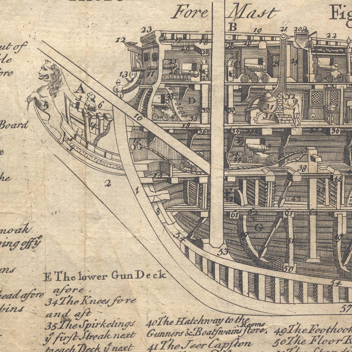 Incredible 1700s warship cutaway - Cabinet of Curiosities